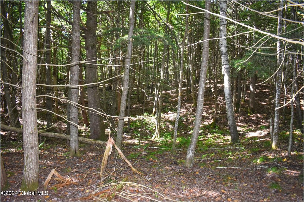 Picture 14