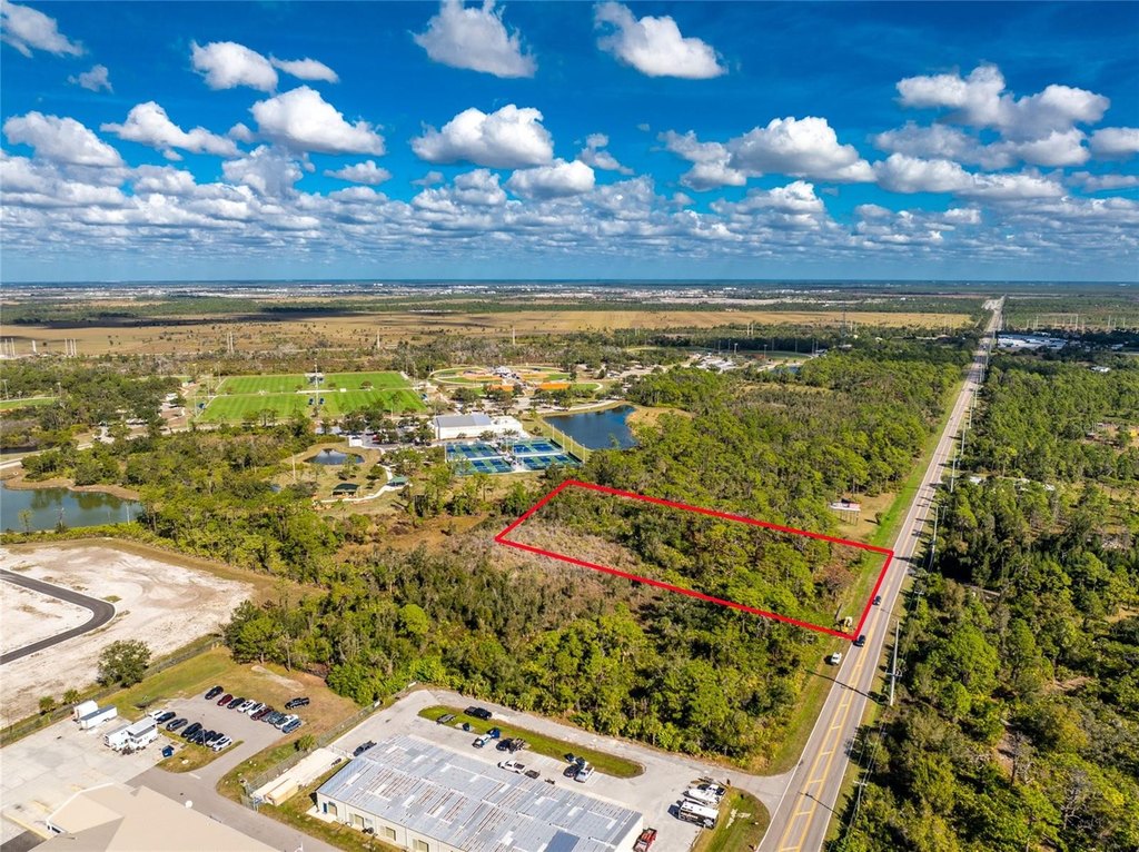 Picture 5