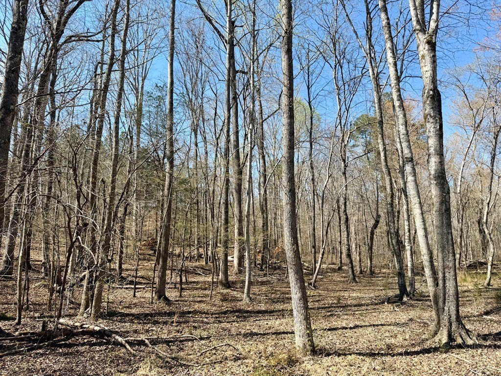 Picture 19