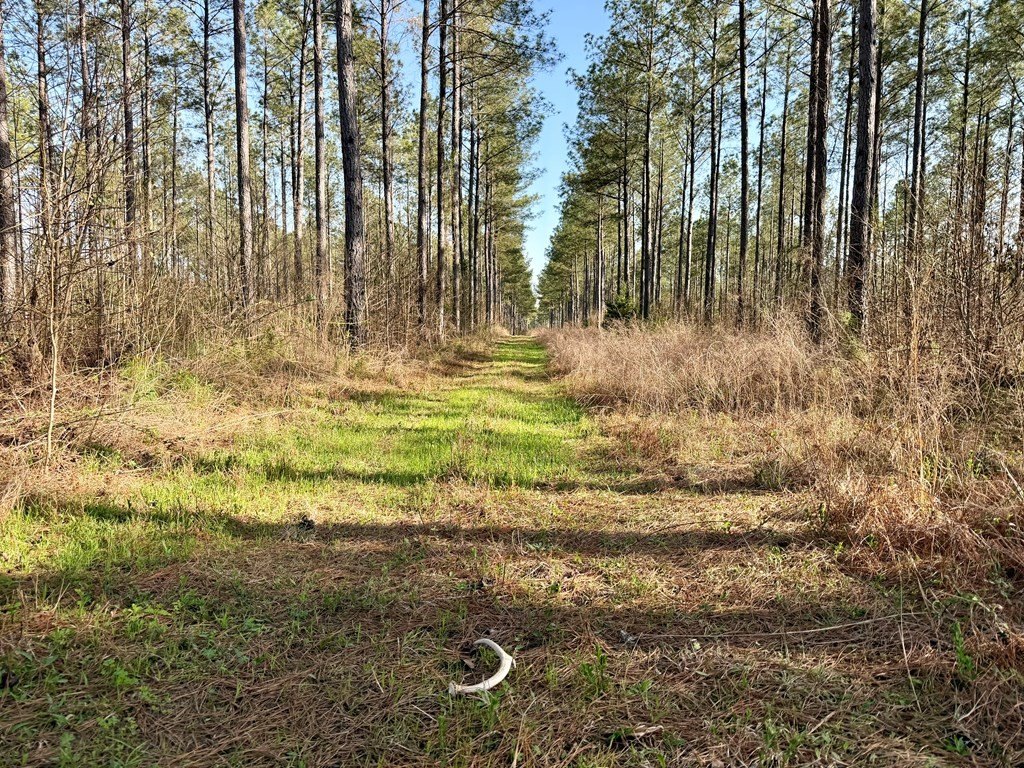 Picture 30