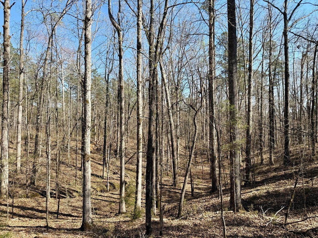 Picture 17