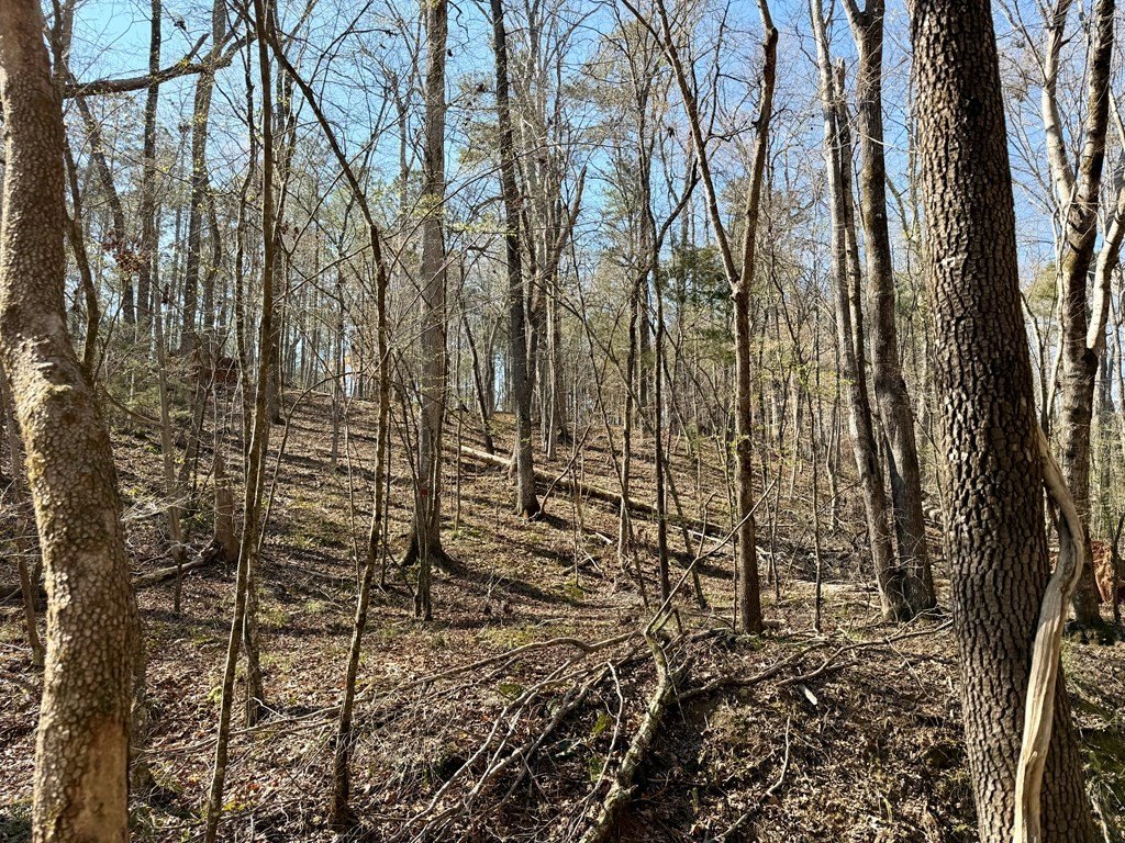 Picture 24