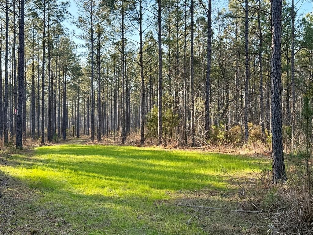 Abbeville Land with Lake Site