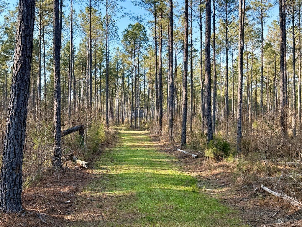 Picture 25