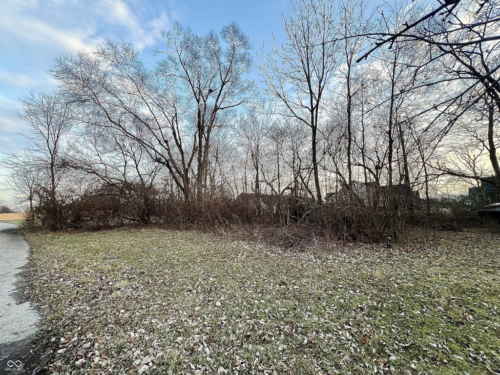 Picture 11