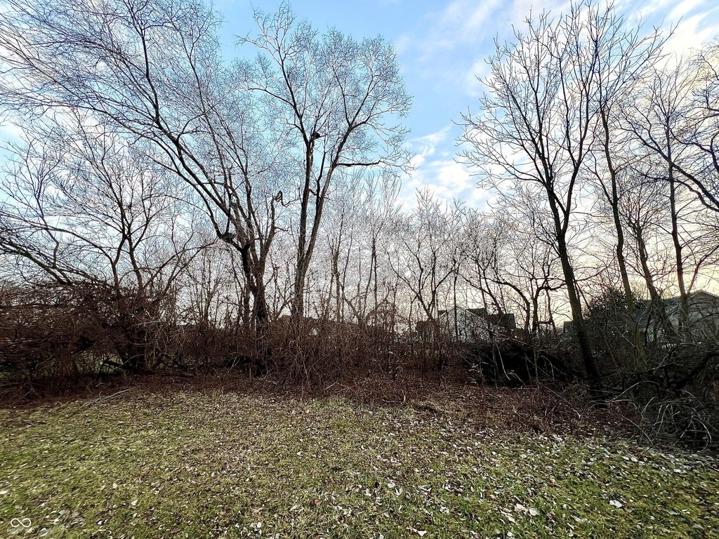 Picture 13