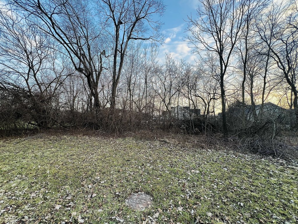 Picture 12