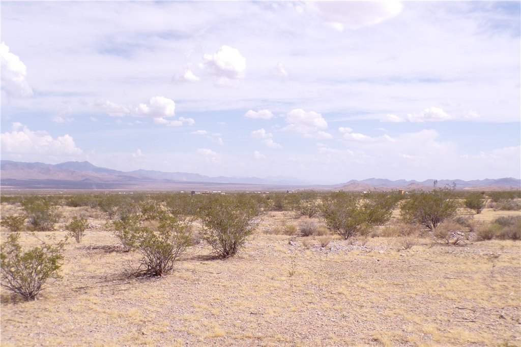 Picture 22