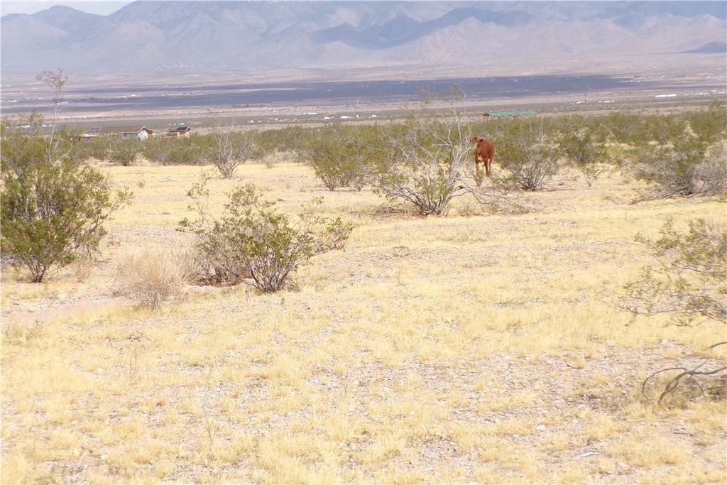 Picture 17