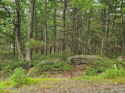 Residential Lot Near Lake Wallenpaupack