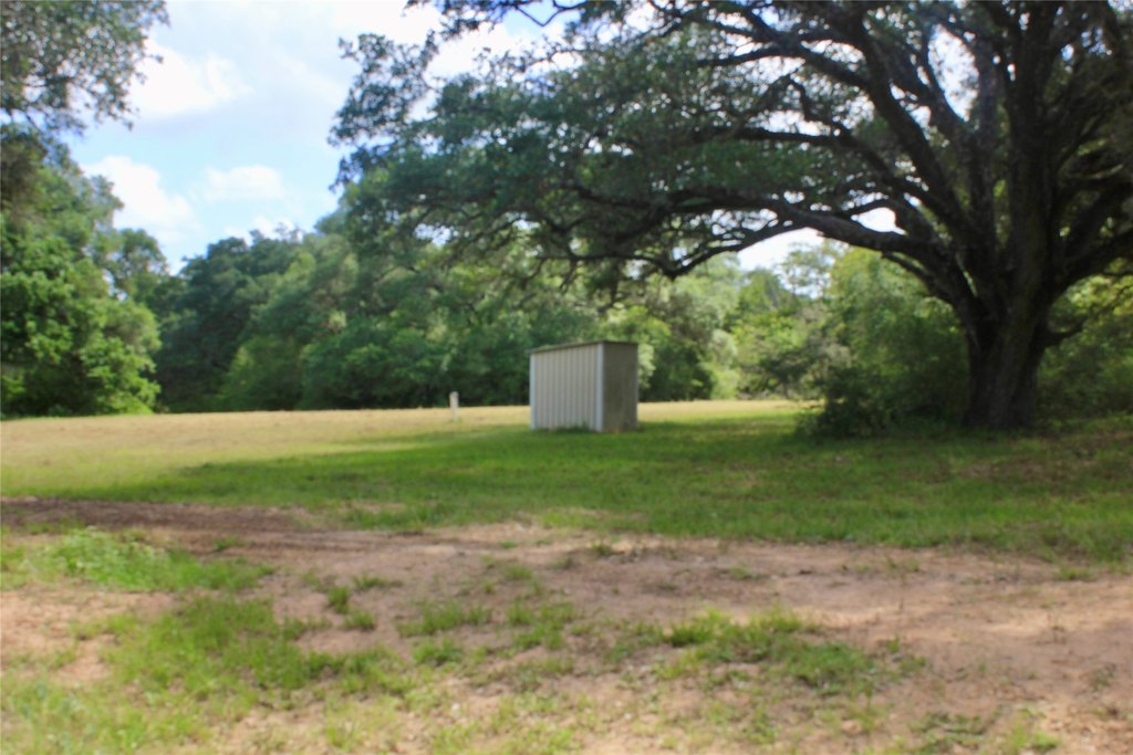 Picture 9