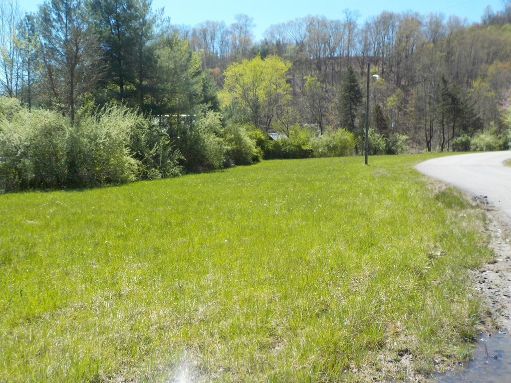 Picture 2