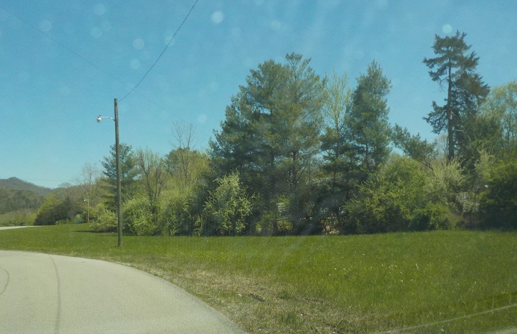 Picture 3