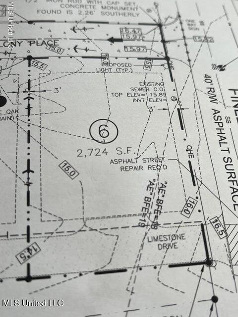 Picture 5