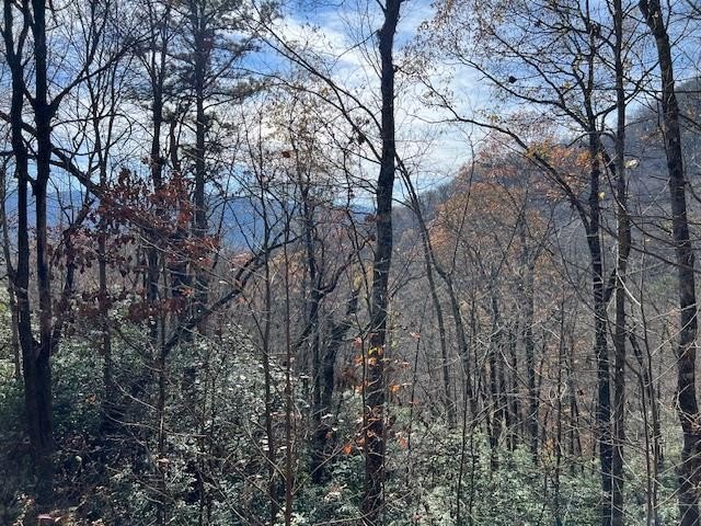 Wooded Lot in Gated Subdivision