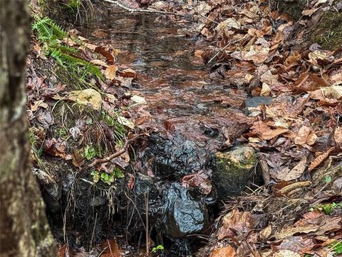 Residential Land in Dallas, Georgia