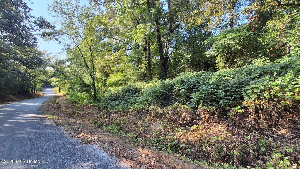Picture 15