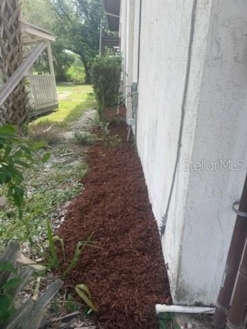 Picture 8