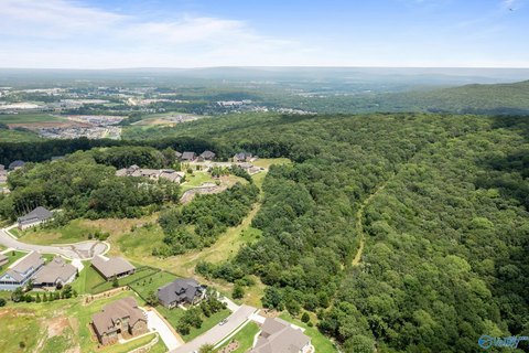 Huntsville Acreage on High Mountain
