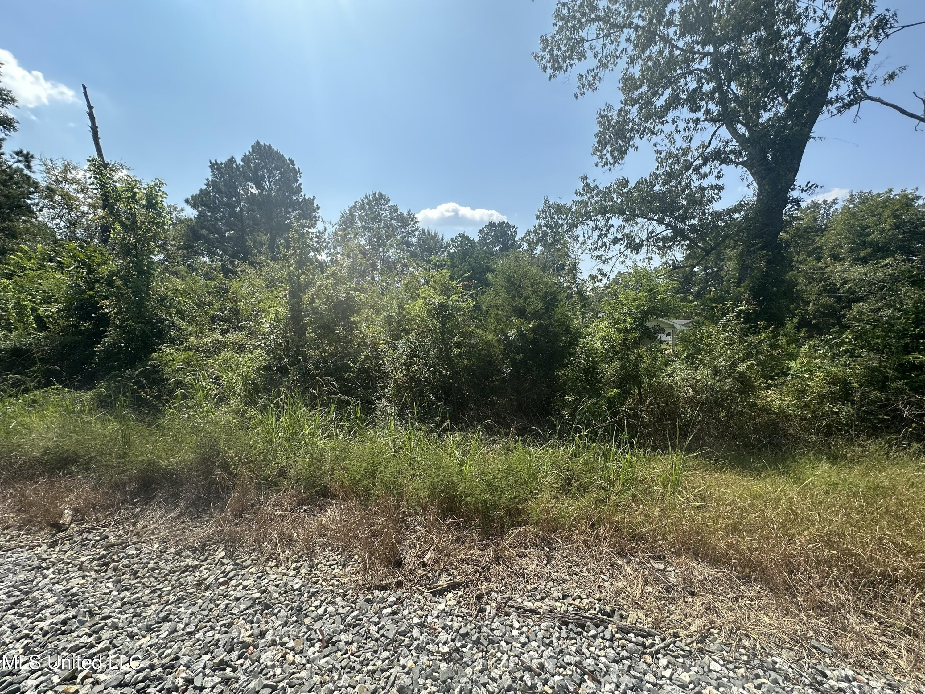 Land Parcel in Pearl, MS