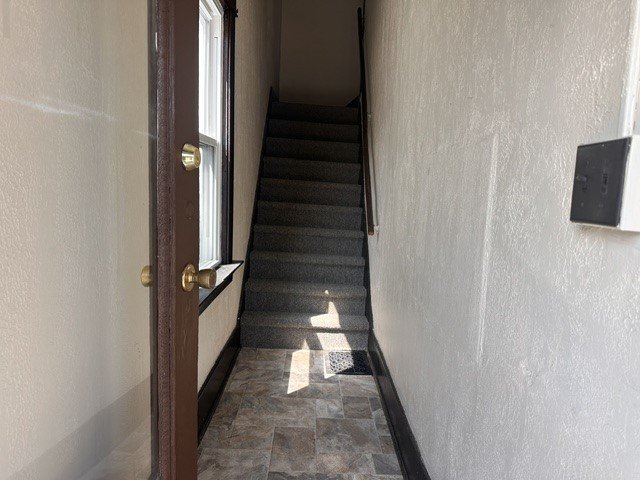 Picture 12
