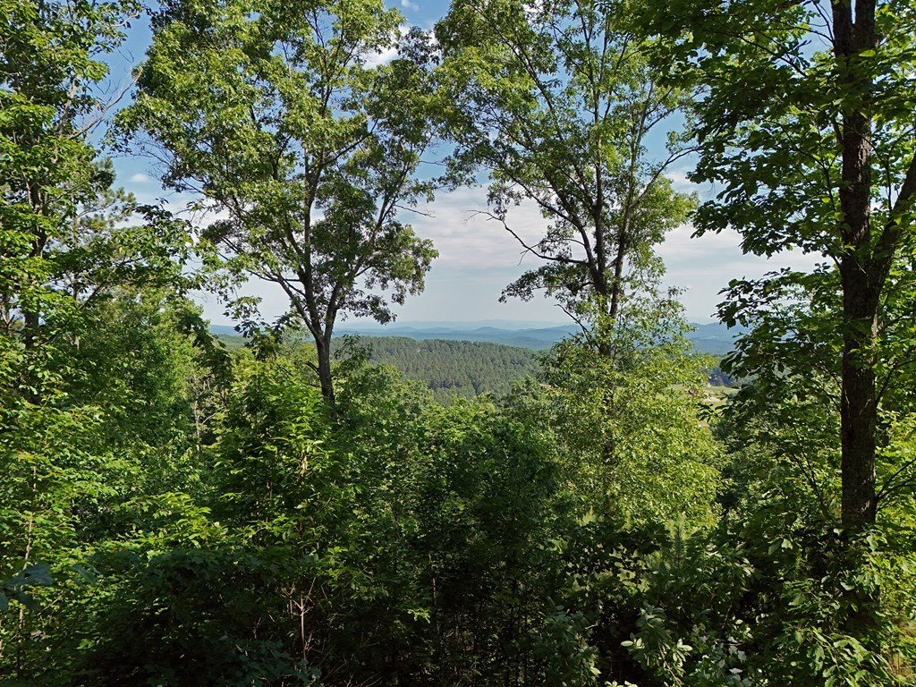 Picture 43