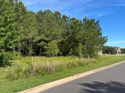 Jasper, AL Flat Lot