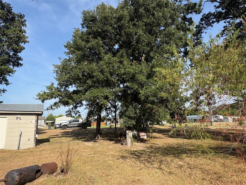 Picture 4