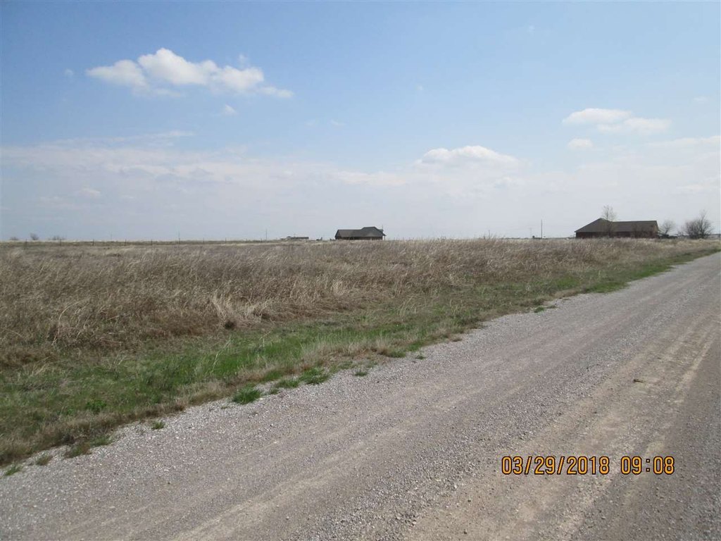 Picture 8