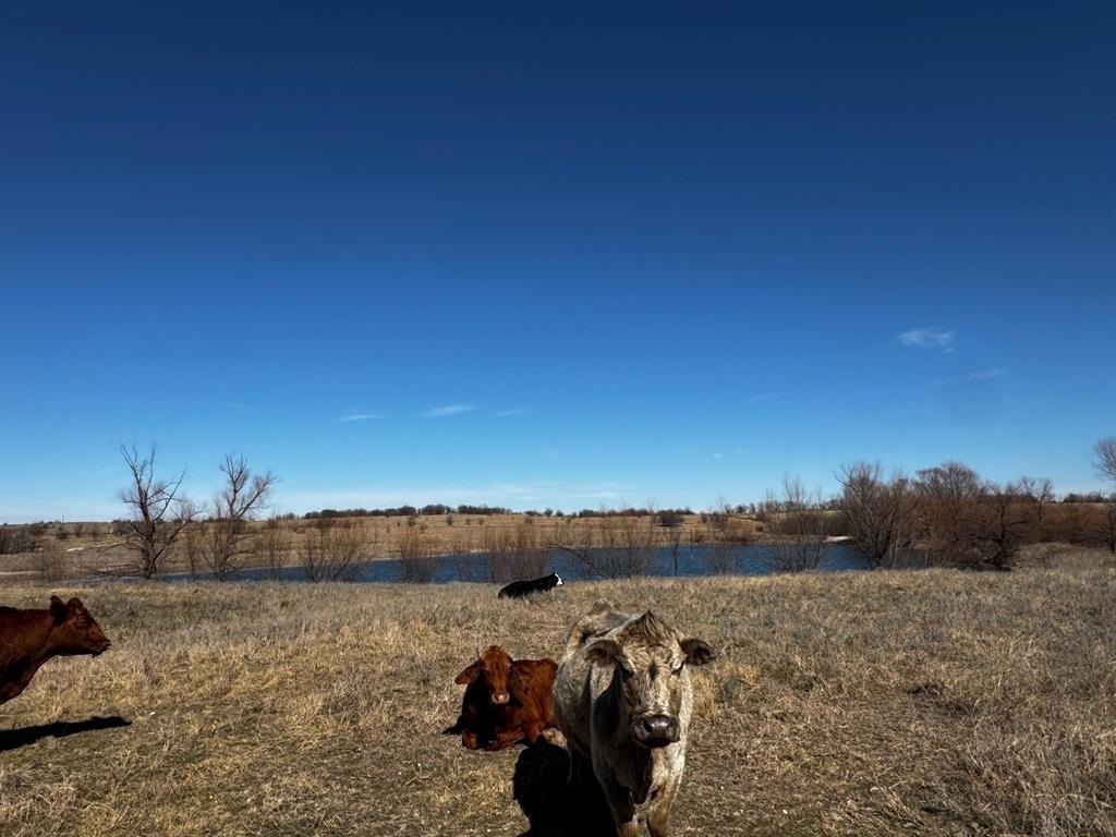 Decatur Ranch Land For Sale
