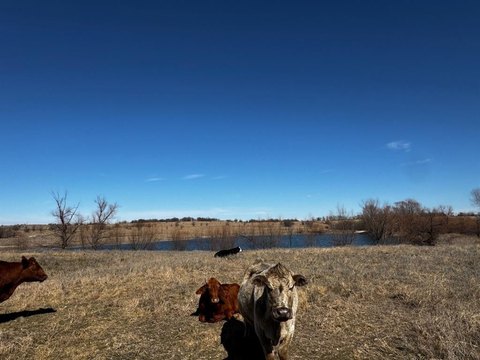 Decatur Ranch Land For Sale