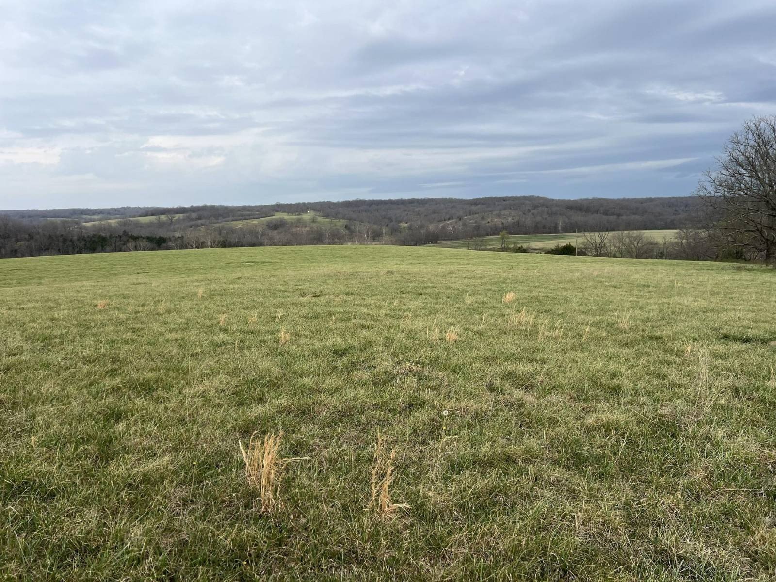 74.91 Acres in Norwood, MO