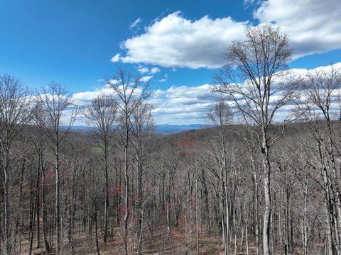 Vacant Lot - Ellijay, GA