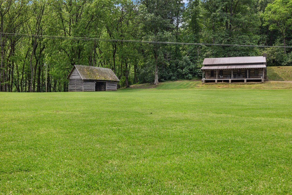 Picture 19