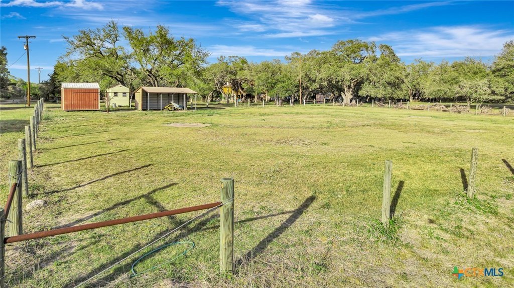 Picture 15