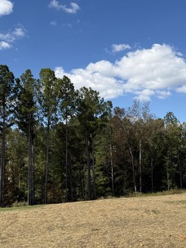 Residential Land in Creekwood Subdivision