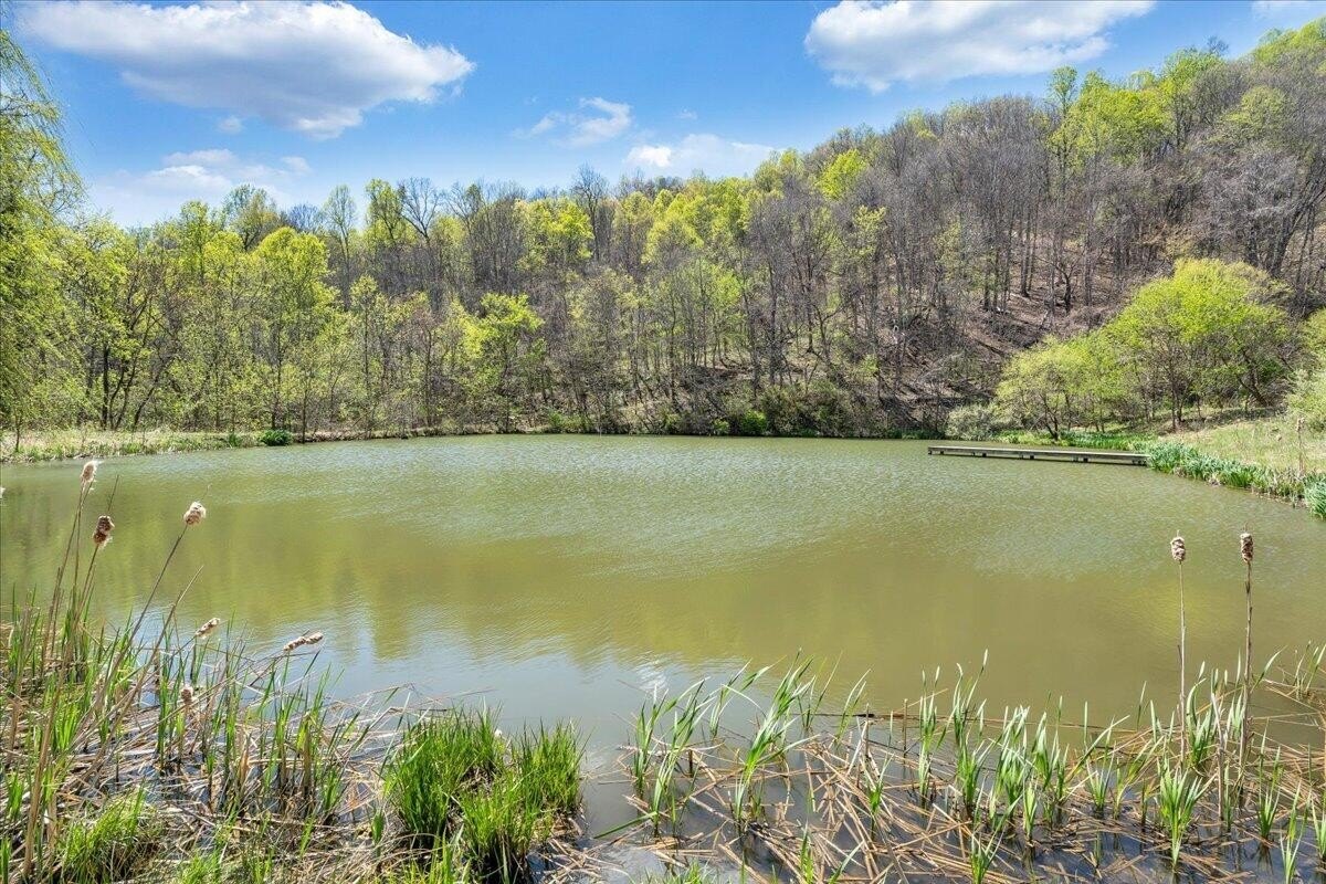 50+ Acre Buchanan Land