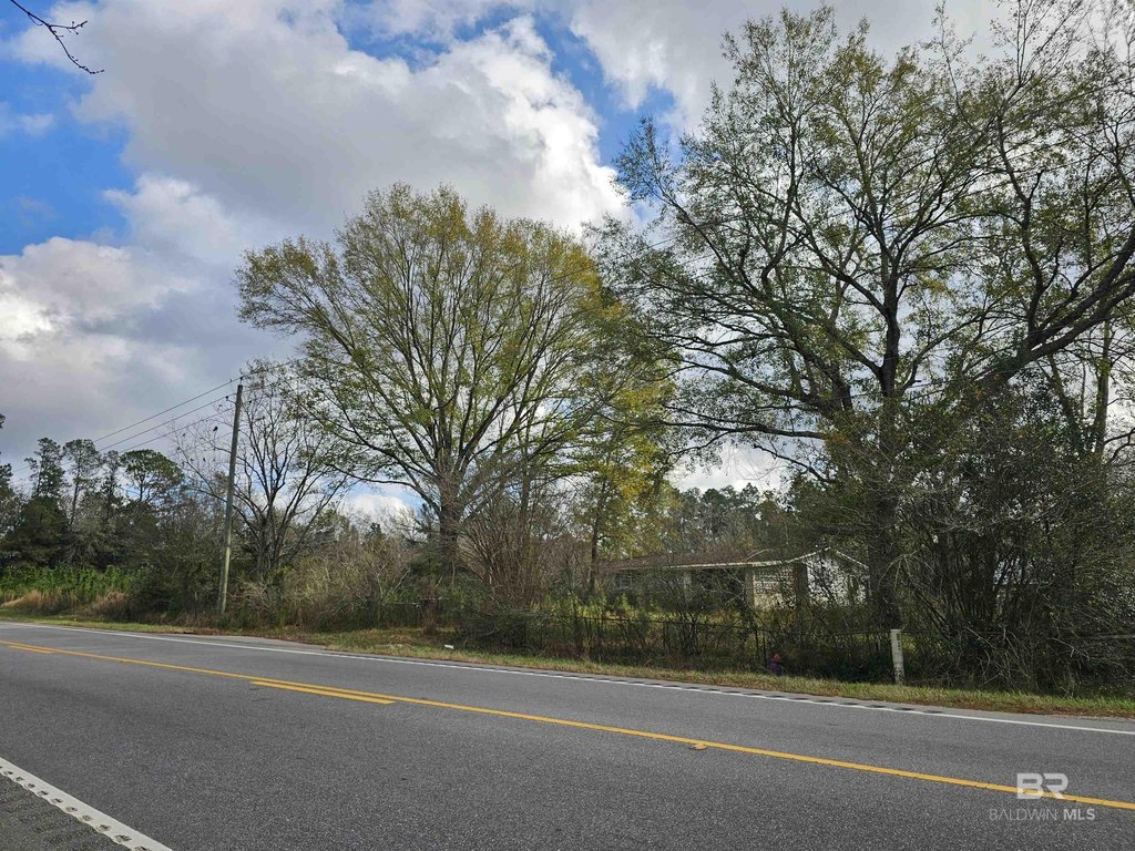 Picture 29