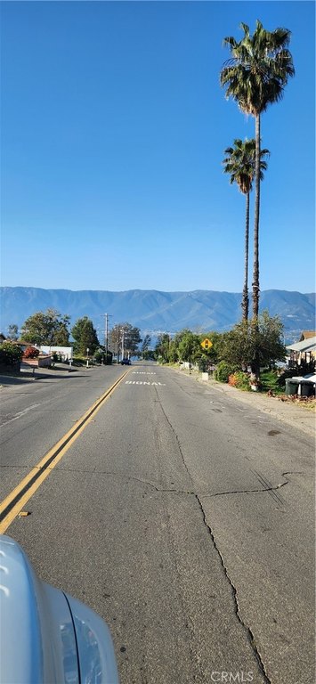Picture 11