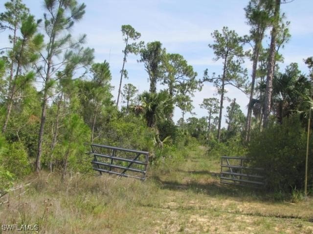 19.5 Acres Residential Development Land