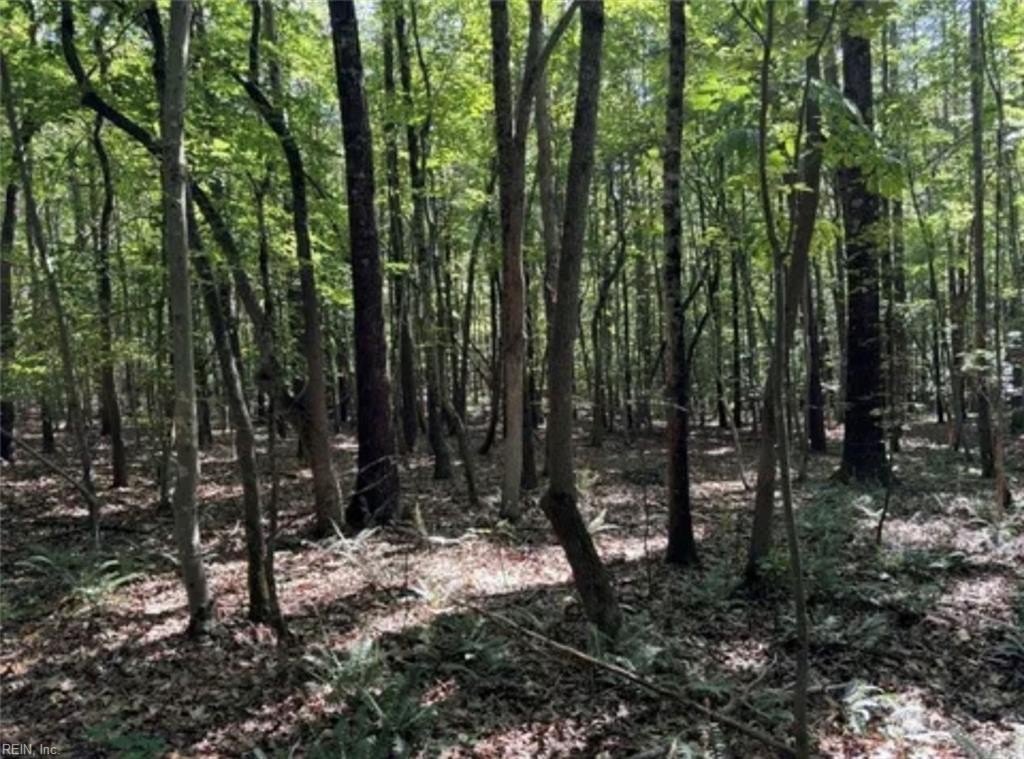 Danville Land with Development Potential