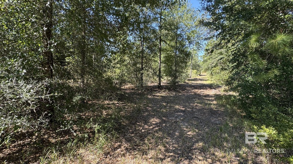 Picture 20
