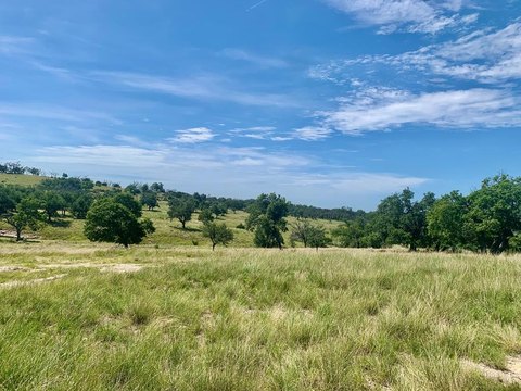 Fredericksburg Land with Hill Views