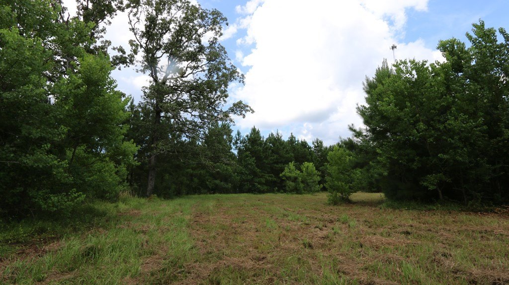 Picture 8