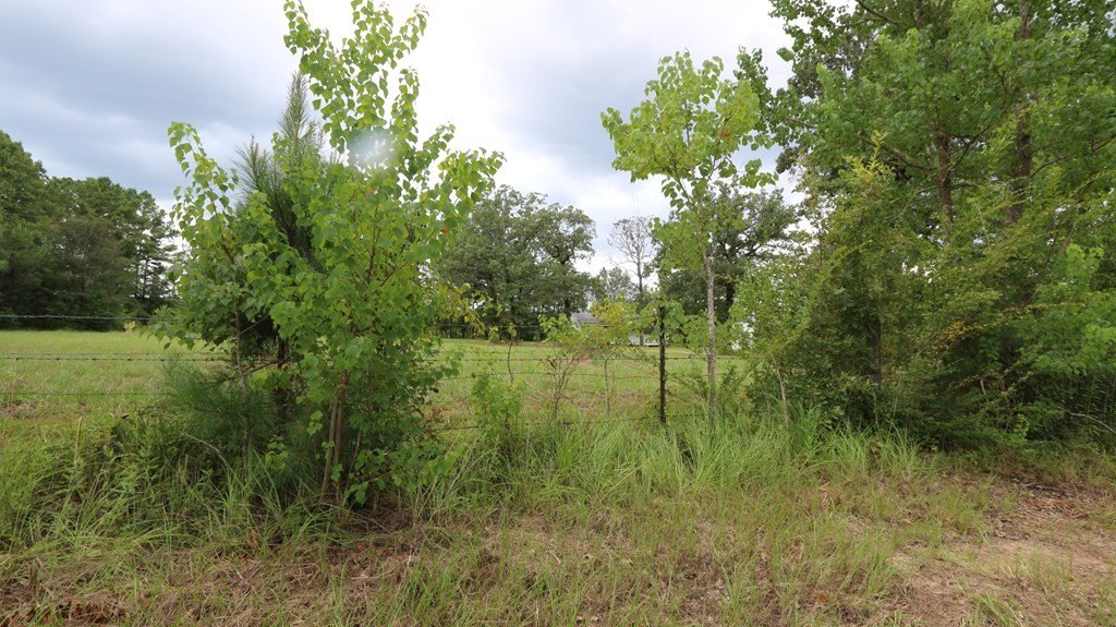 Picture 9