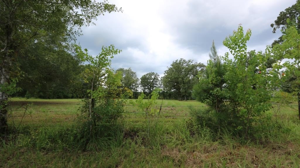 Unrestricted Land Near Lake Sam