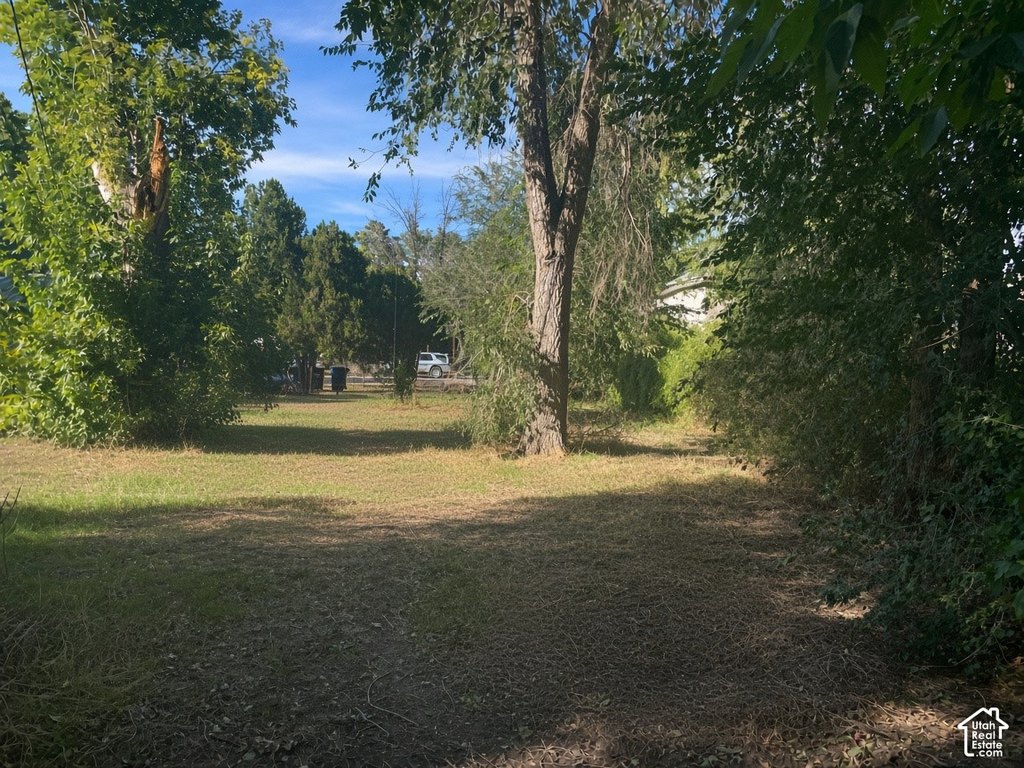 Picture 5