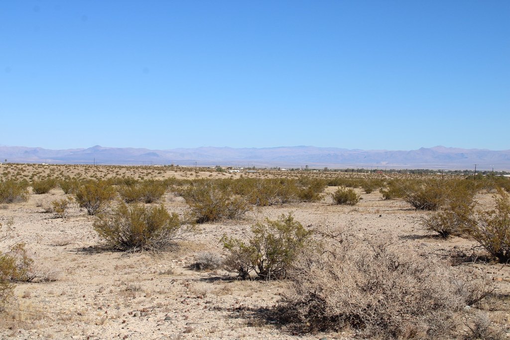 Picture 15