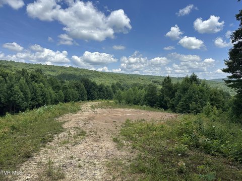 Land, Dungannon, VA