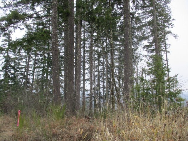 Sheridan, OR Land Investment